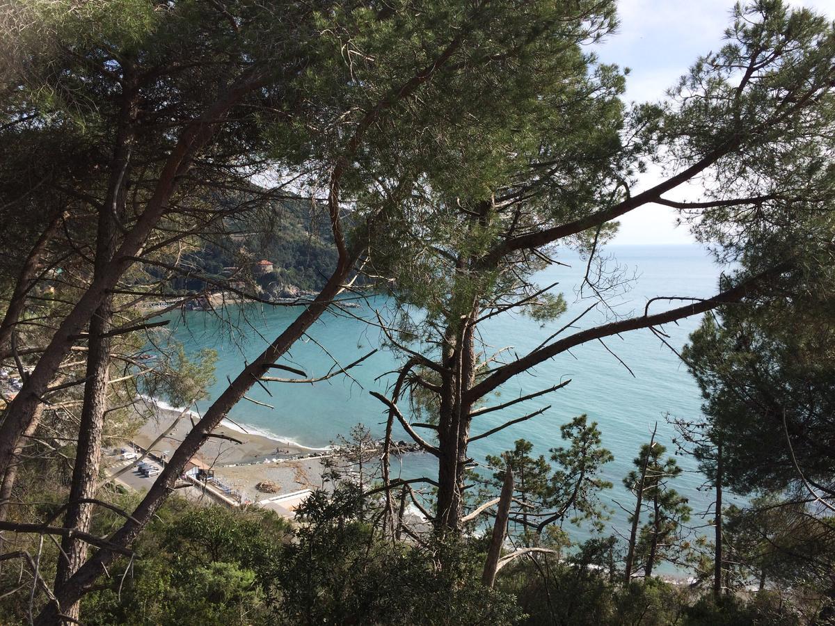 La Casa Di Letizia Villa Levanto Dış mekan fotoğraf